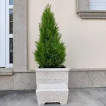 Casa De Filgueira Дом отдыха