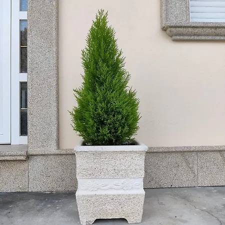 Casa De Filgueira Prázdninový dům